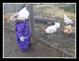 Trip To Farm
