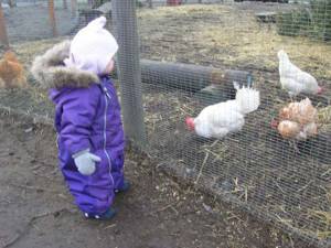 Visit To Farm